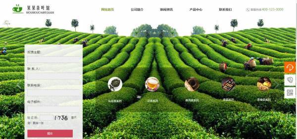 網(wǎng)站建設(shè)公司，如何展現(xiàn)企業(yè)實力與風(fēng)采？