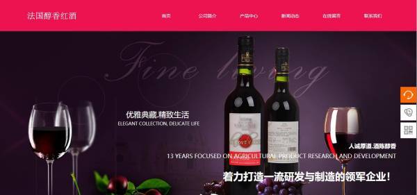 企業(yè)網(wǎng)站建設，下載網(wǎng)站的初步發(fā)展